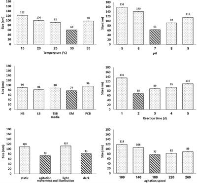 Green nanotechnology for controlling bacterial load and heavy metal accumulation in Nile tilapia fish using biological selenium nanoparticles biosynthesized by Bacillus subtilis AS12